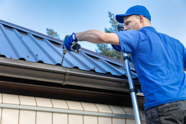 Best Gutter Installation and Repair  in Lake Crystal, MN