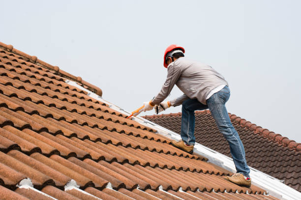 Best Roof Coating and Sealing  in Lake Crystal, MN