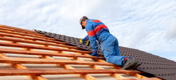 Best Metal Roofing Installation  in Lake Crystal, MN